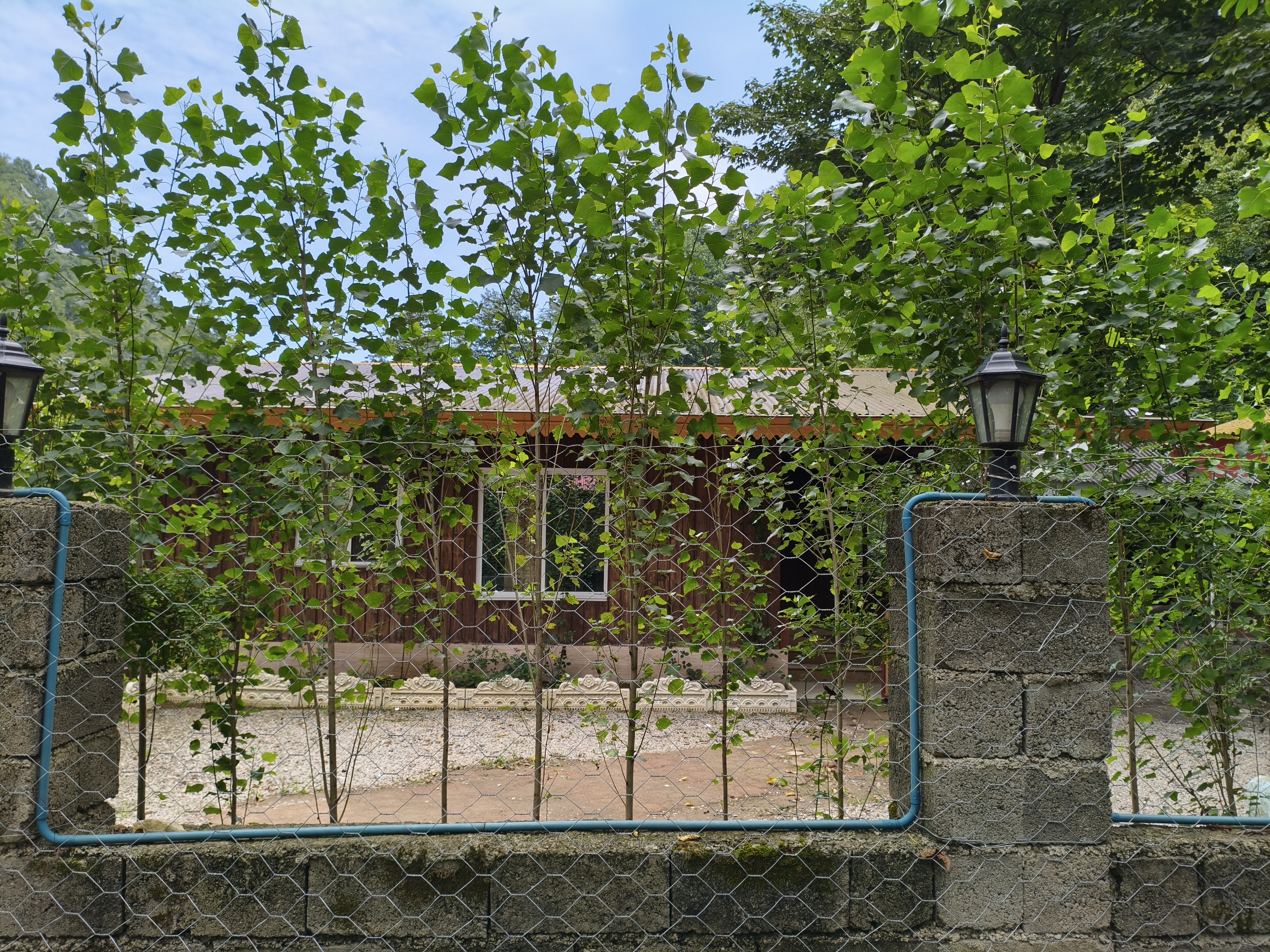 کلبه چوبی منصور