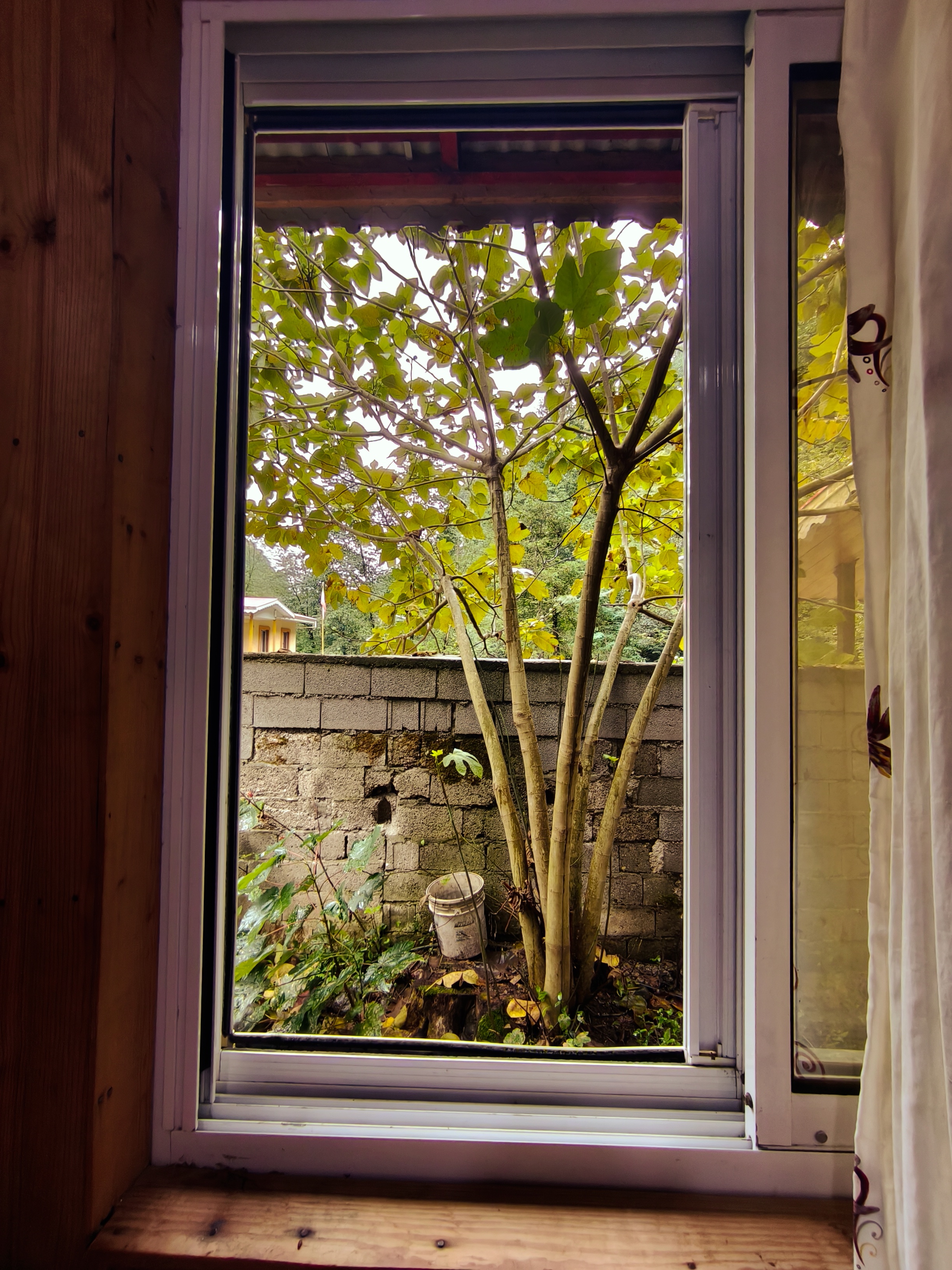 کلبه چوبی منصور