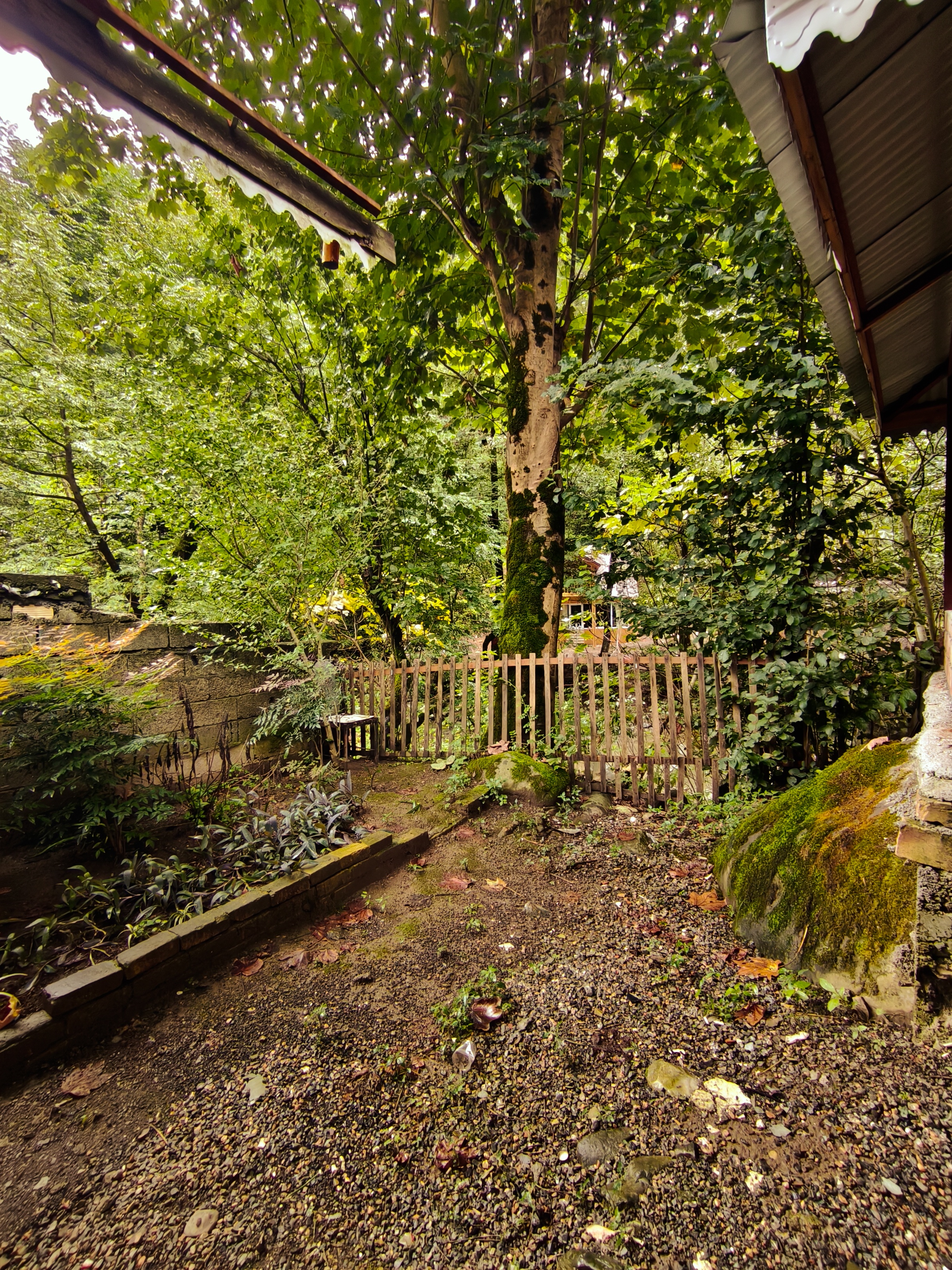 کلبه چوبی منصور