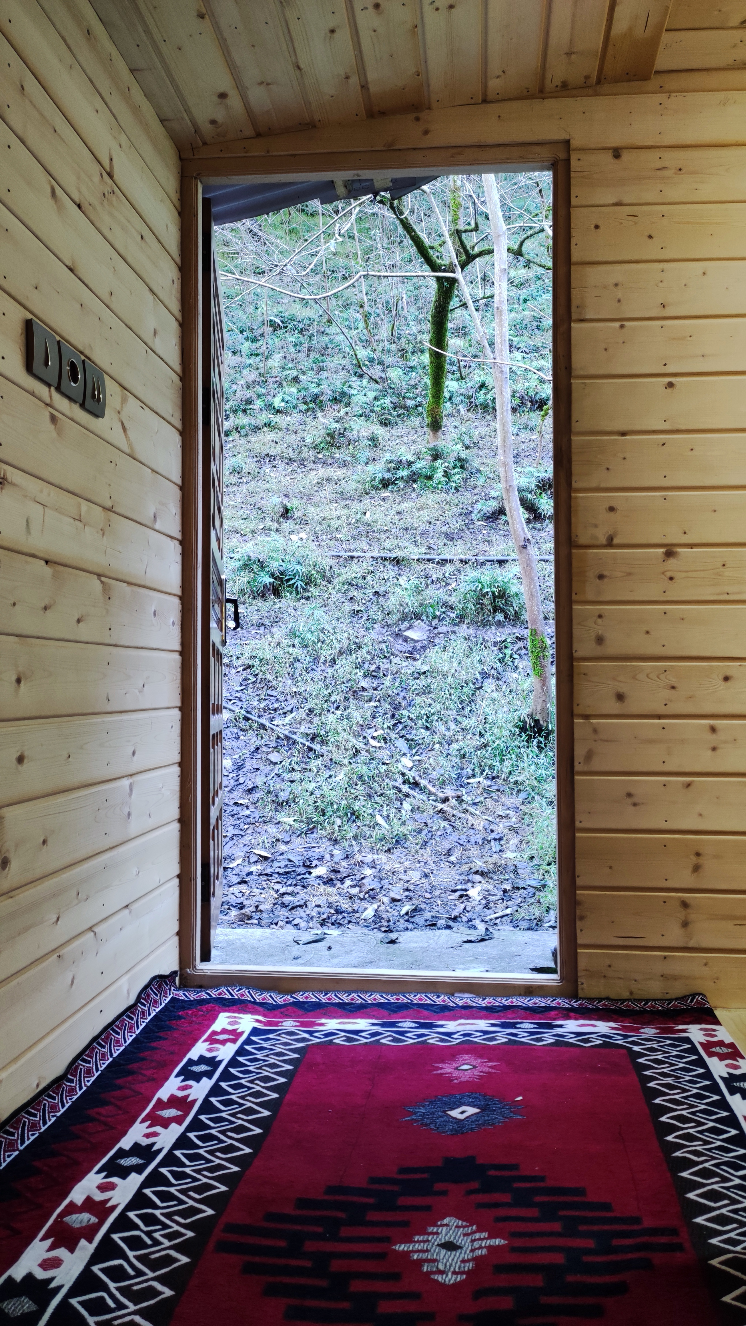 سه خواب طراوت