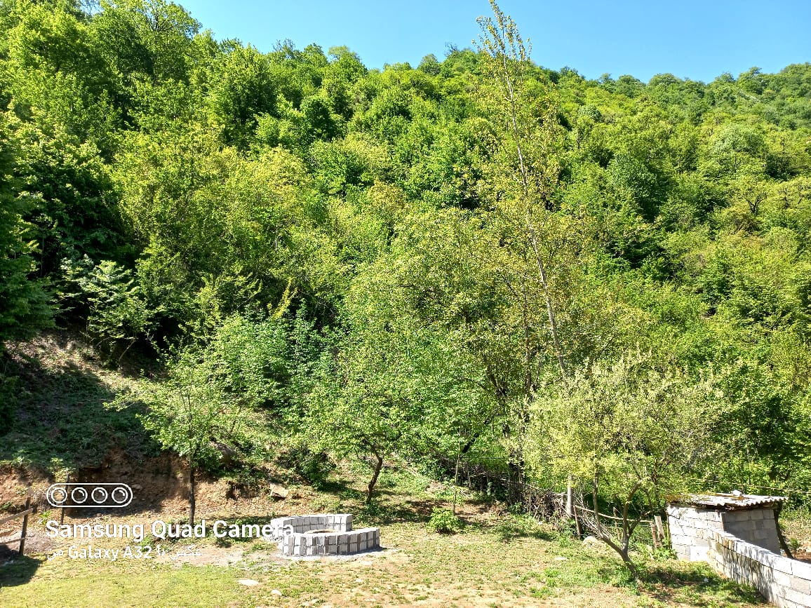 کلبه سوئیسی گیجاو