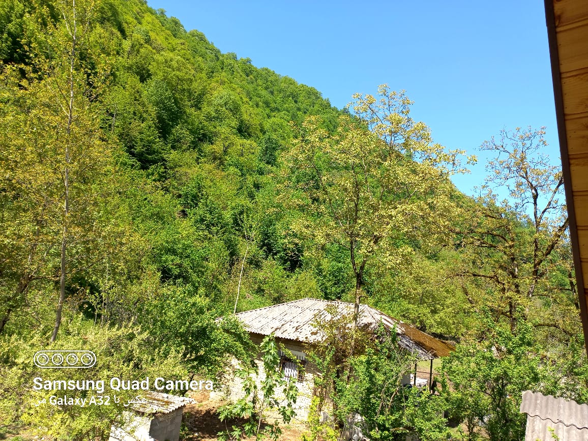 کلبه سوئیسی گیجاو