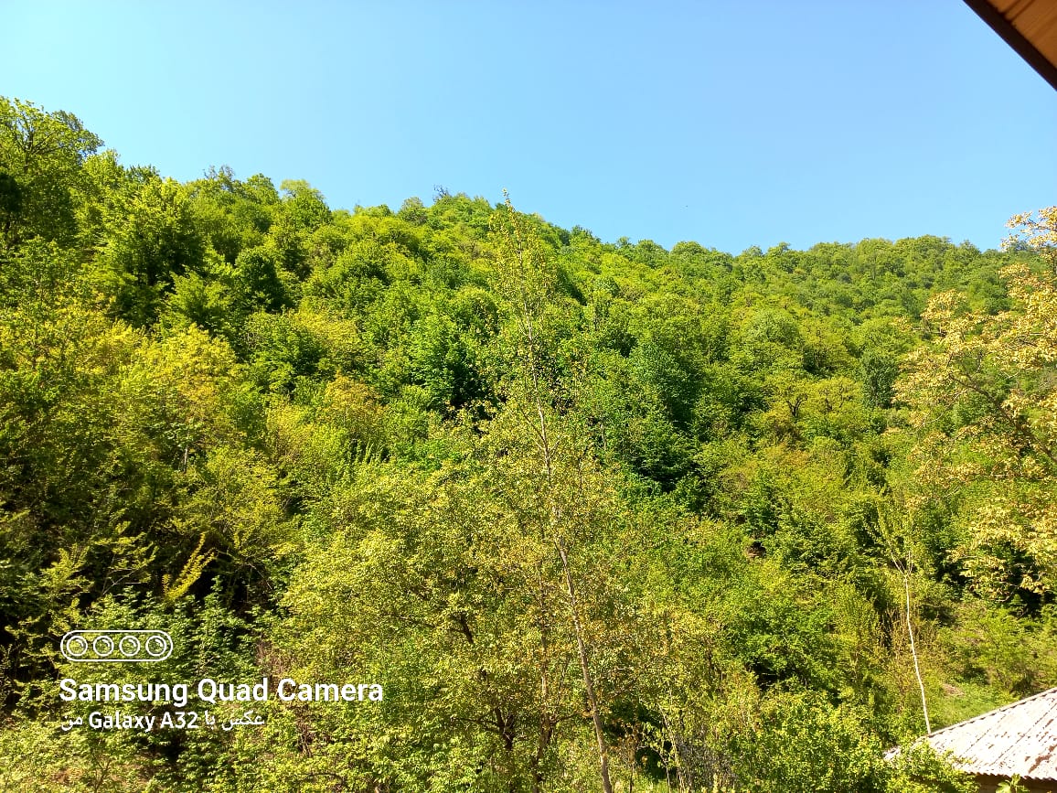 کلبه سوئیسی گیجاو