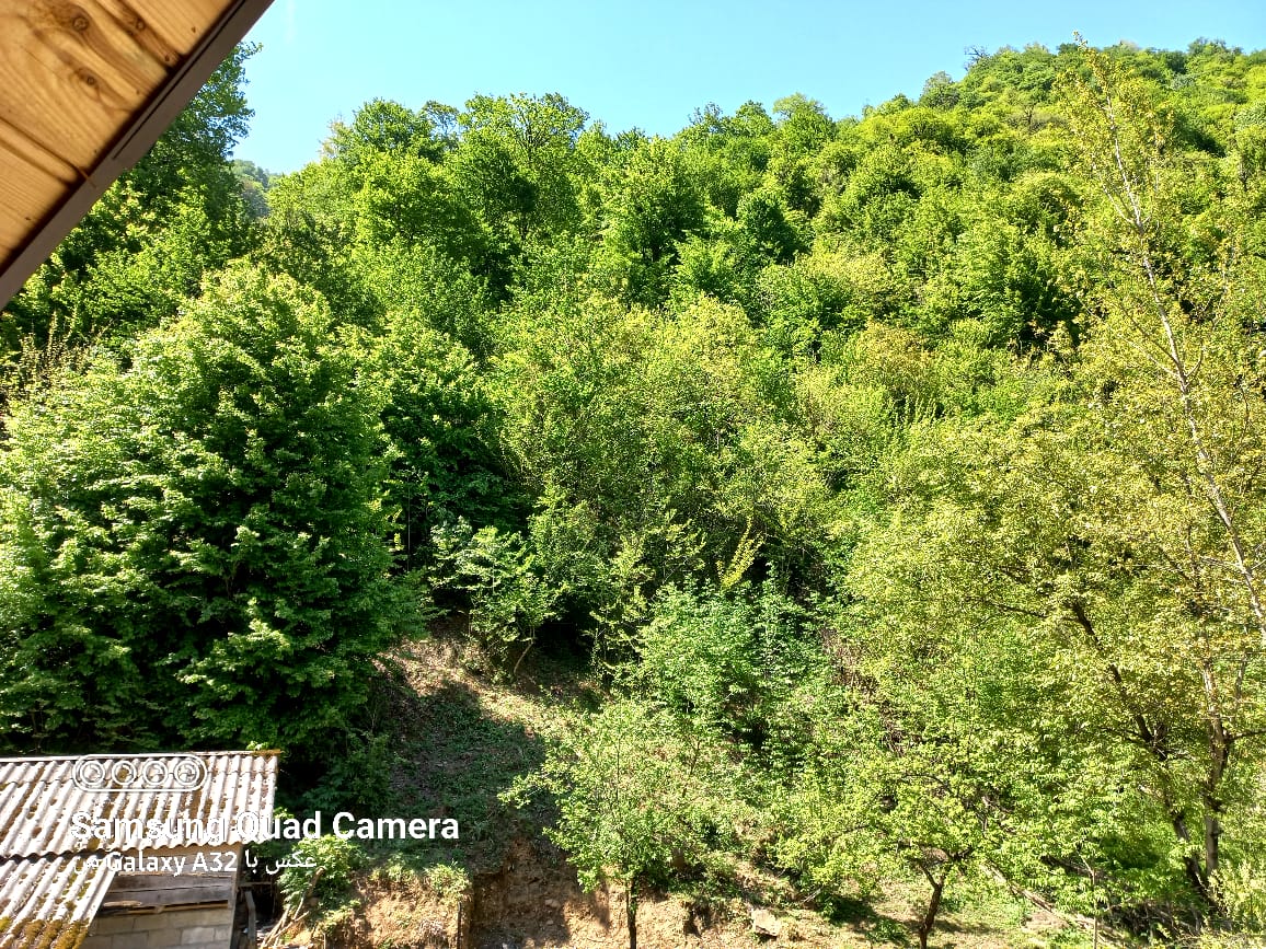 کلبه سوئیسی گیجاو