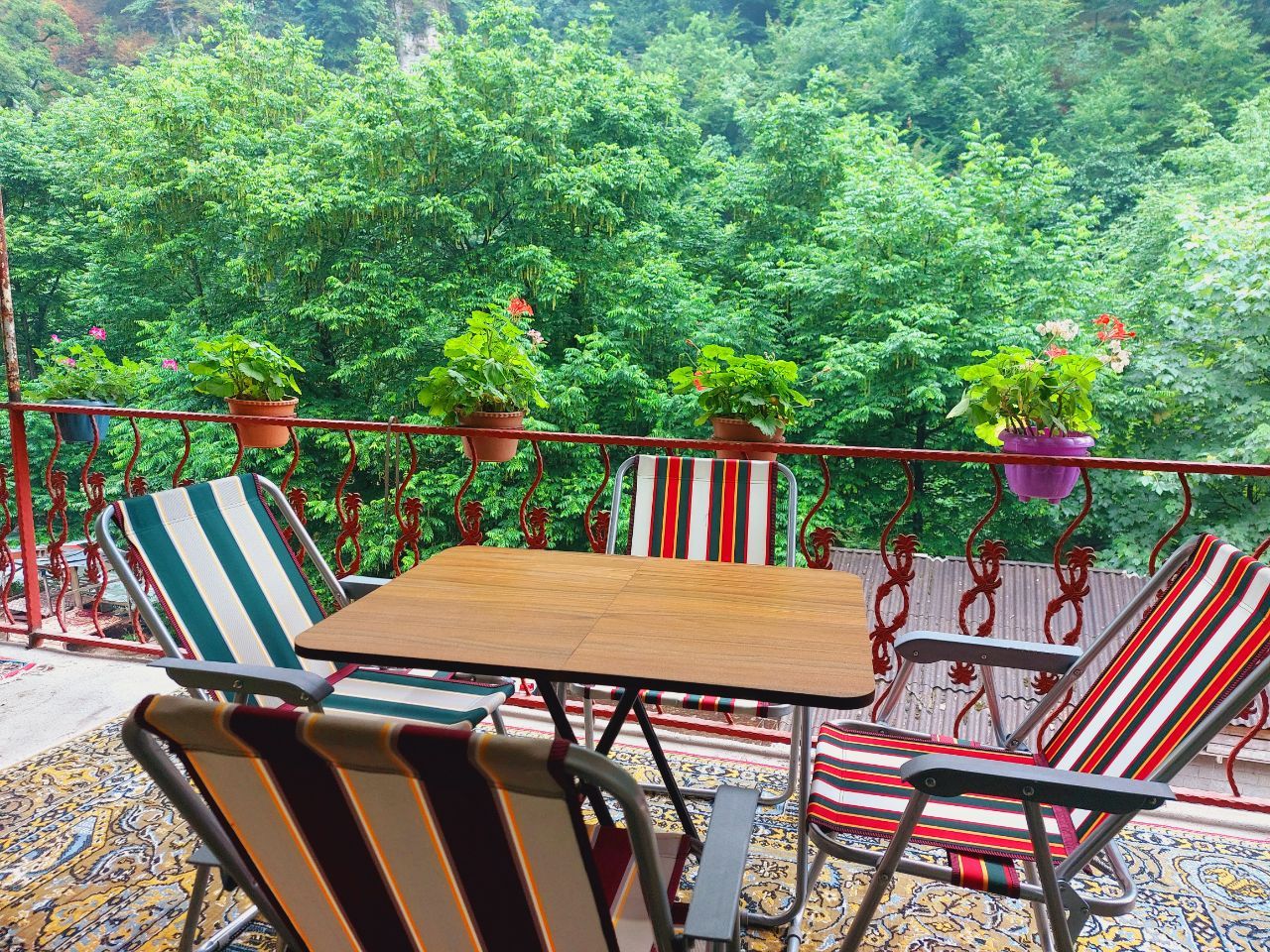 ویلا جنگلی رایان سیتی دو