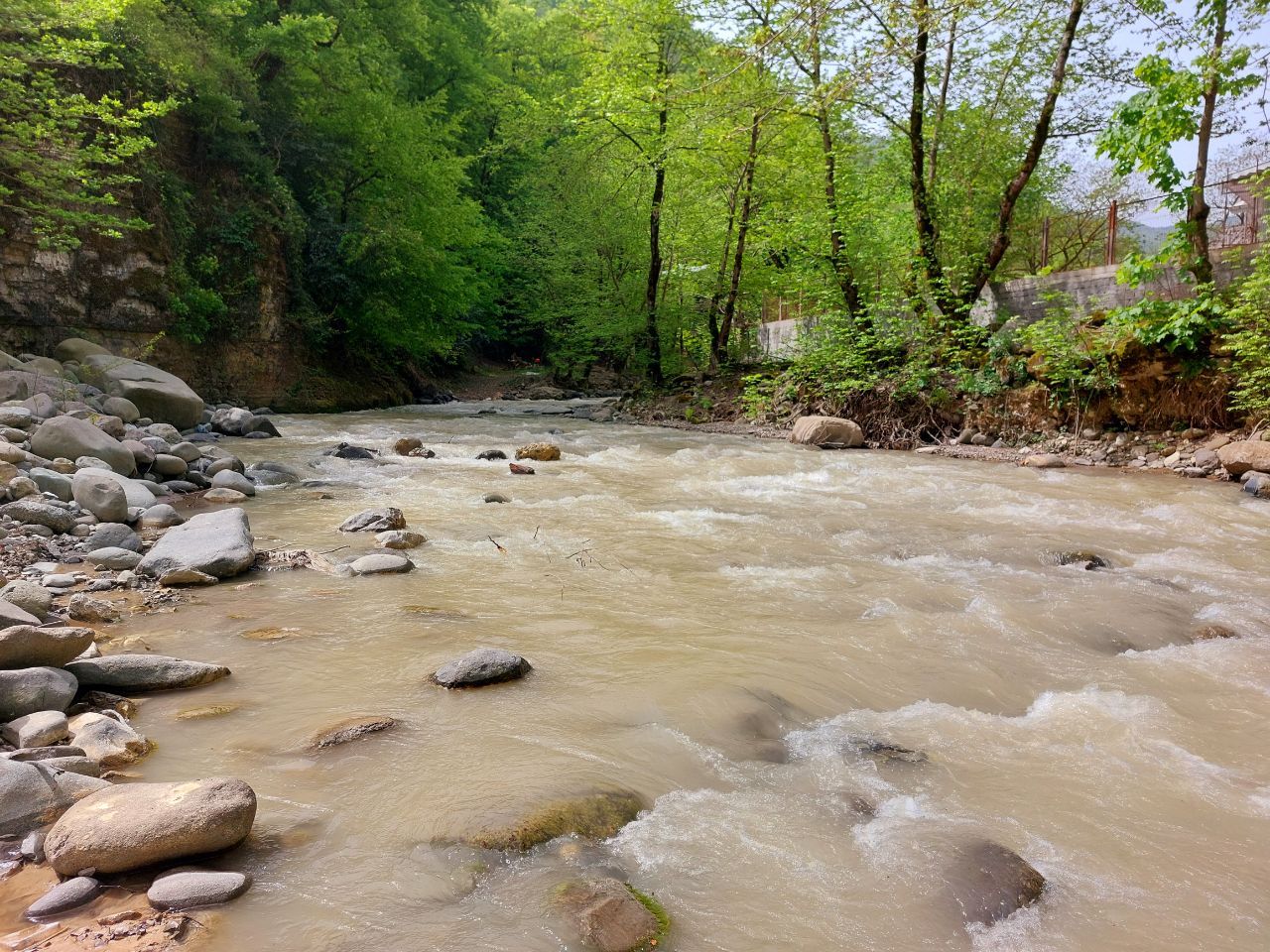 ویلا جنگلی رایان سیتی دو