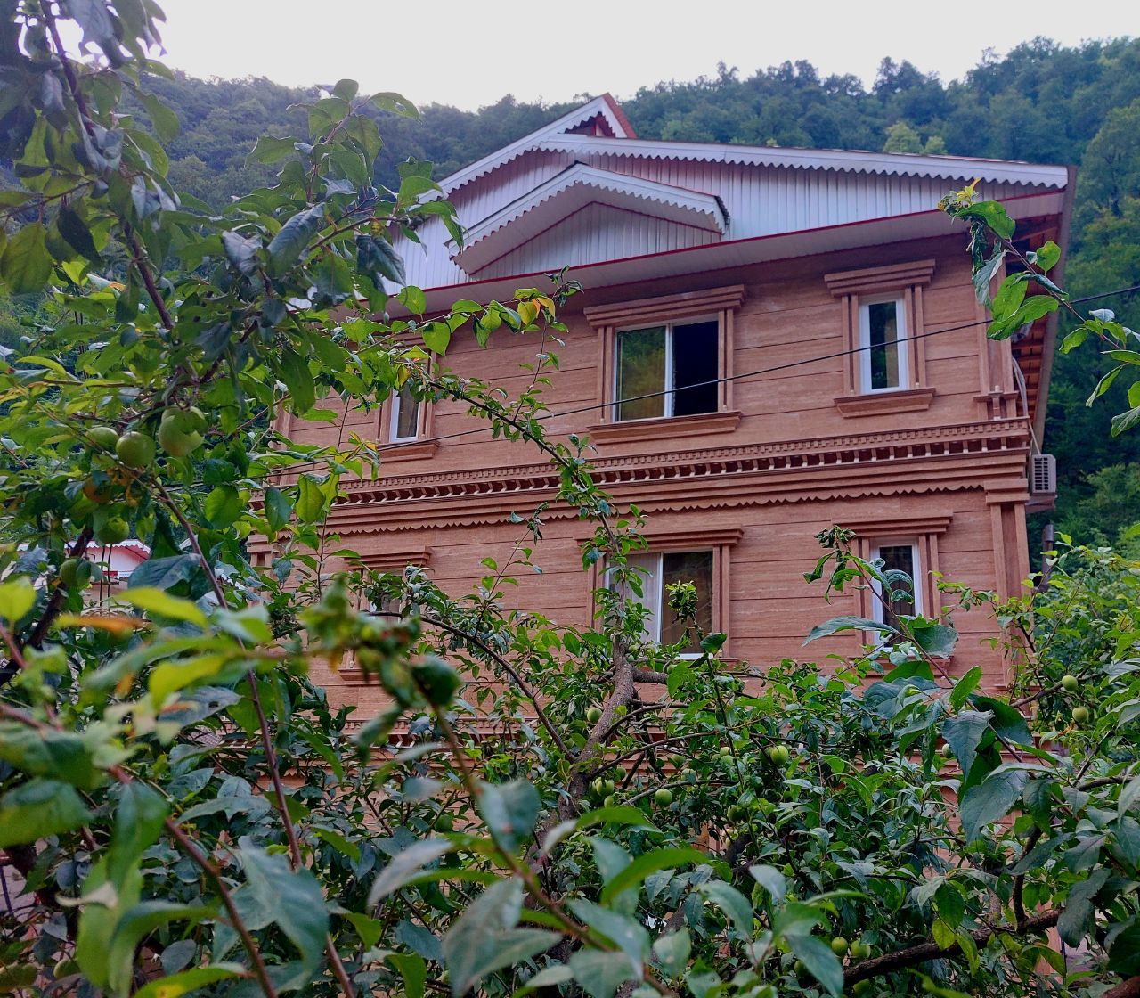 ویلا جنگلی رایان سیتی دو