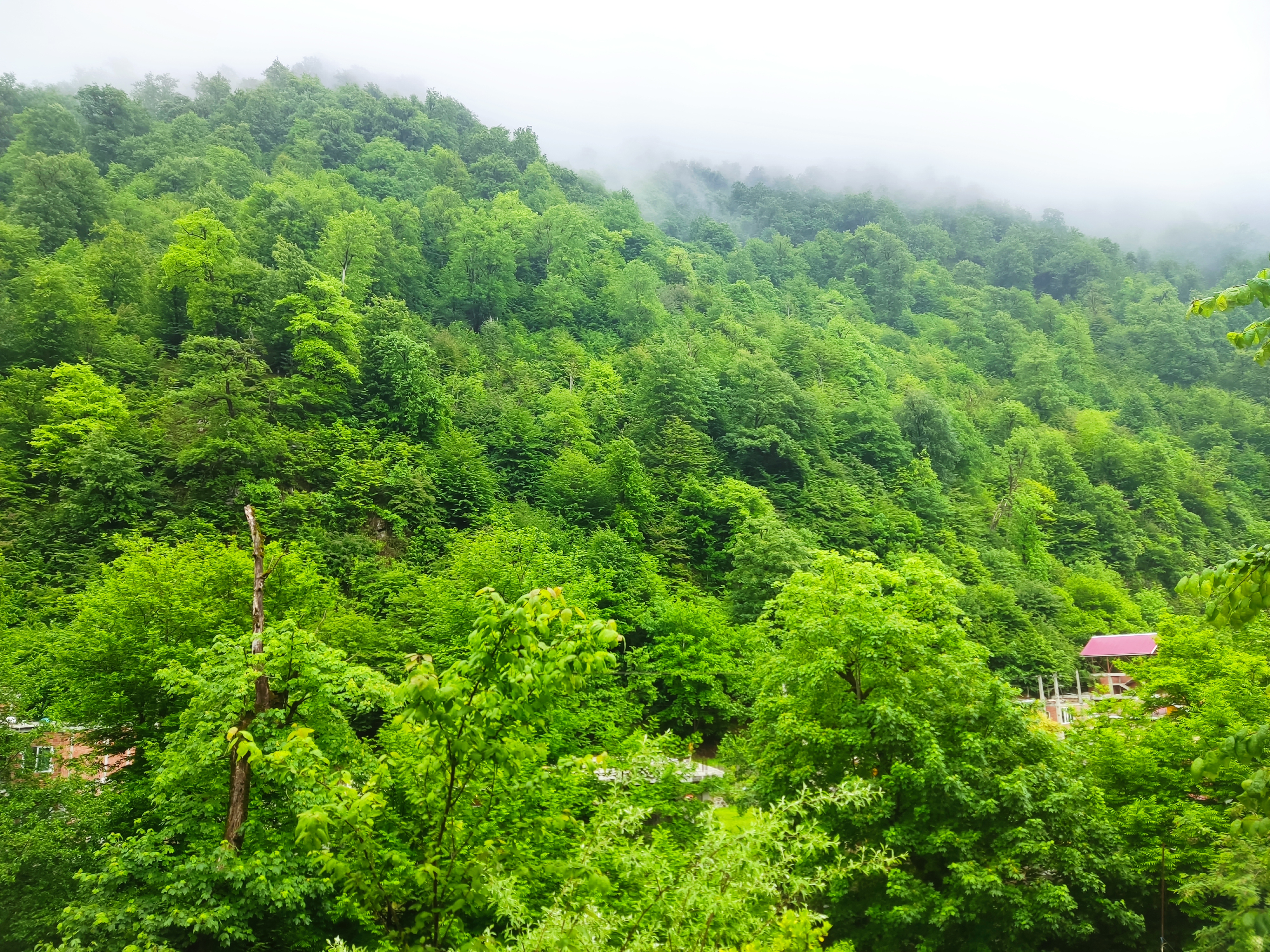 کلبه چوبی ماهلین