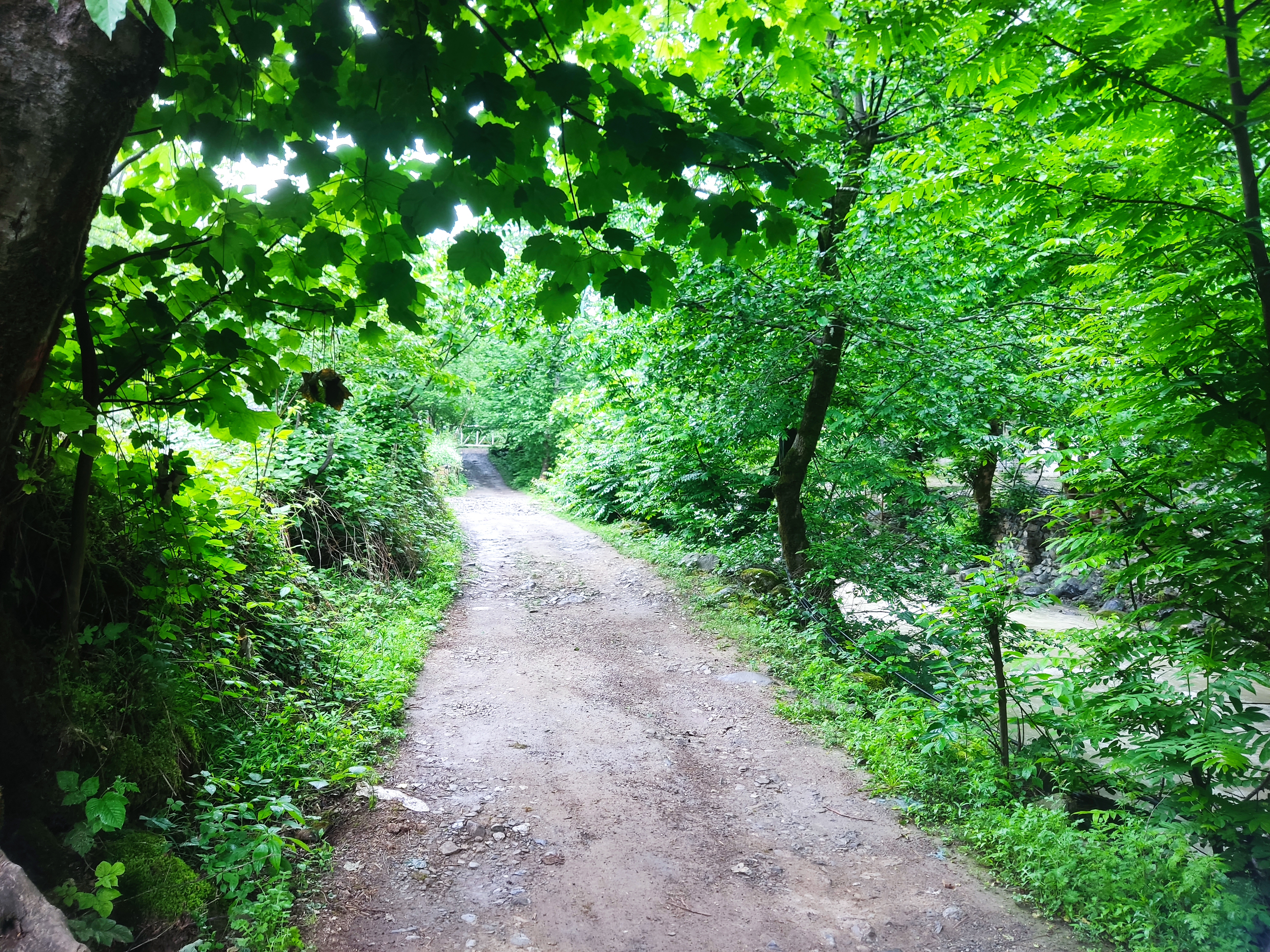 کلبه چوبی ماهلین