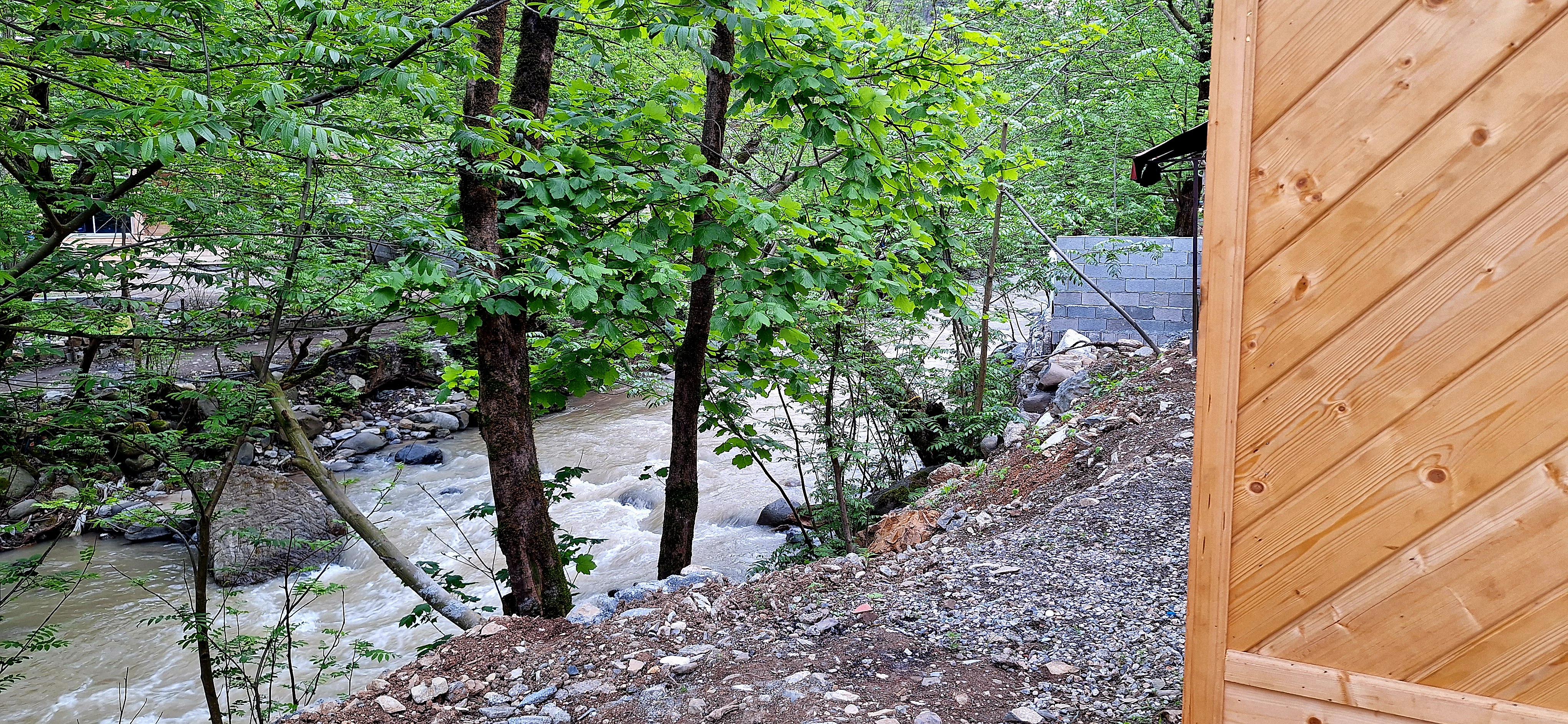 کلبه چوبی امیر علی