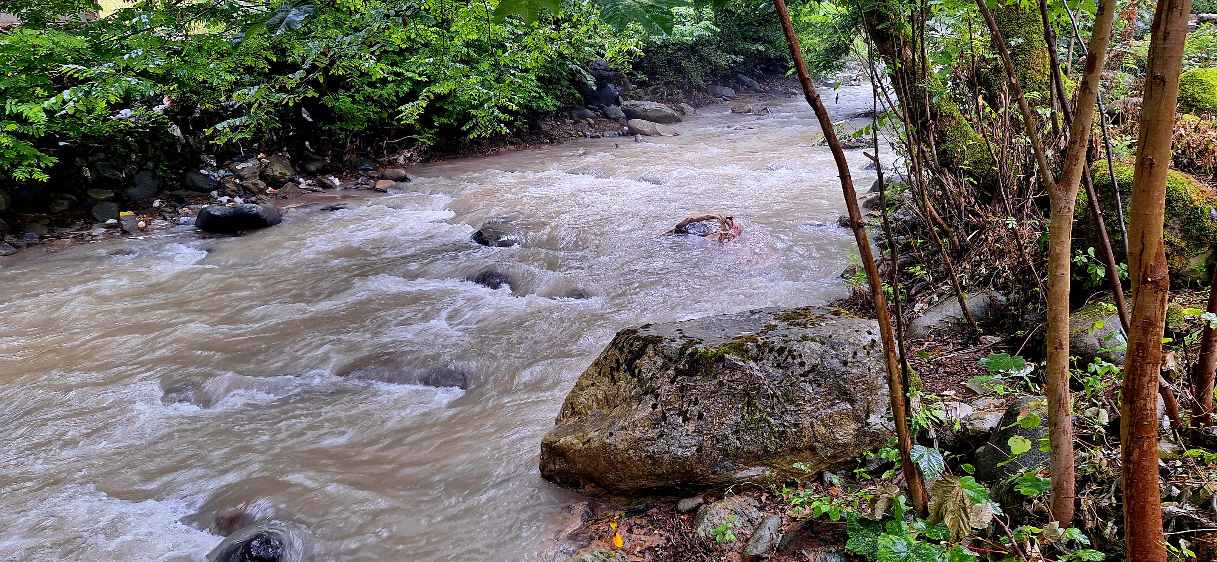 ویلا استخردار آتیلا