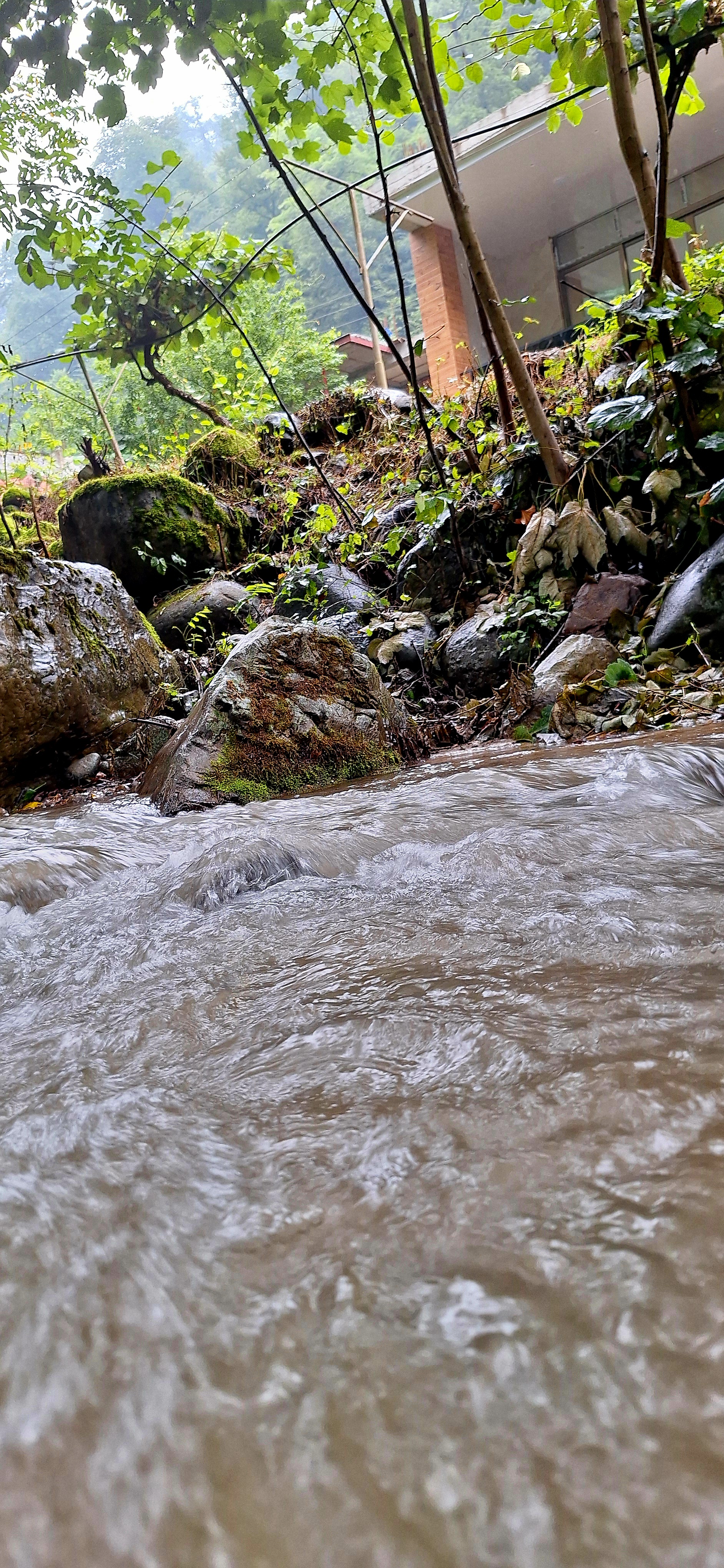 ویلا استخردار آتیلا