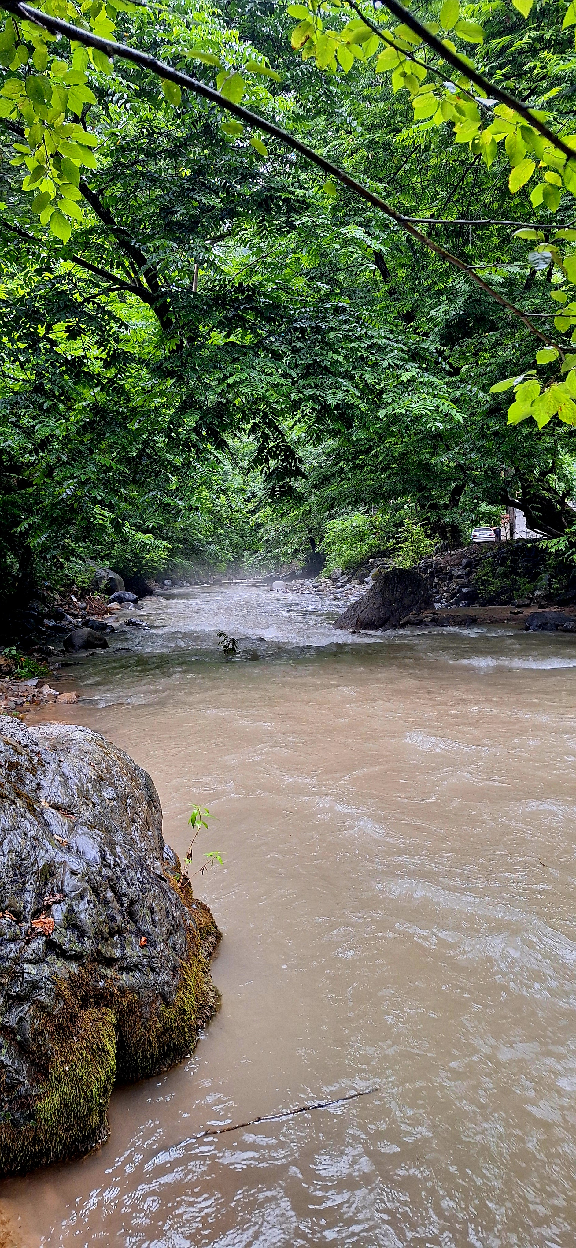 ویلا استخردار آتیلا