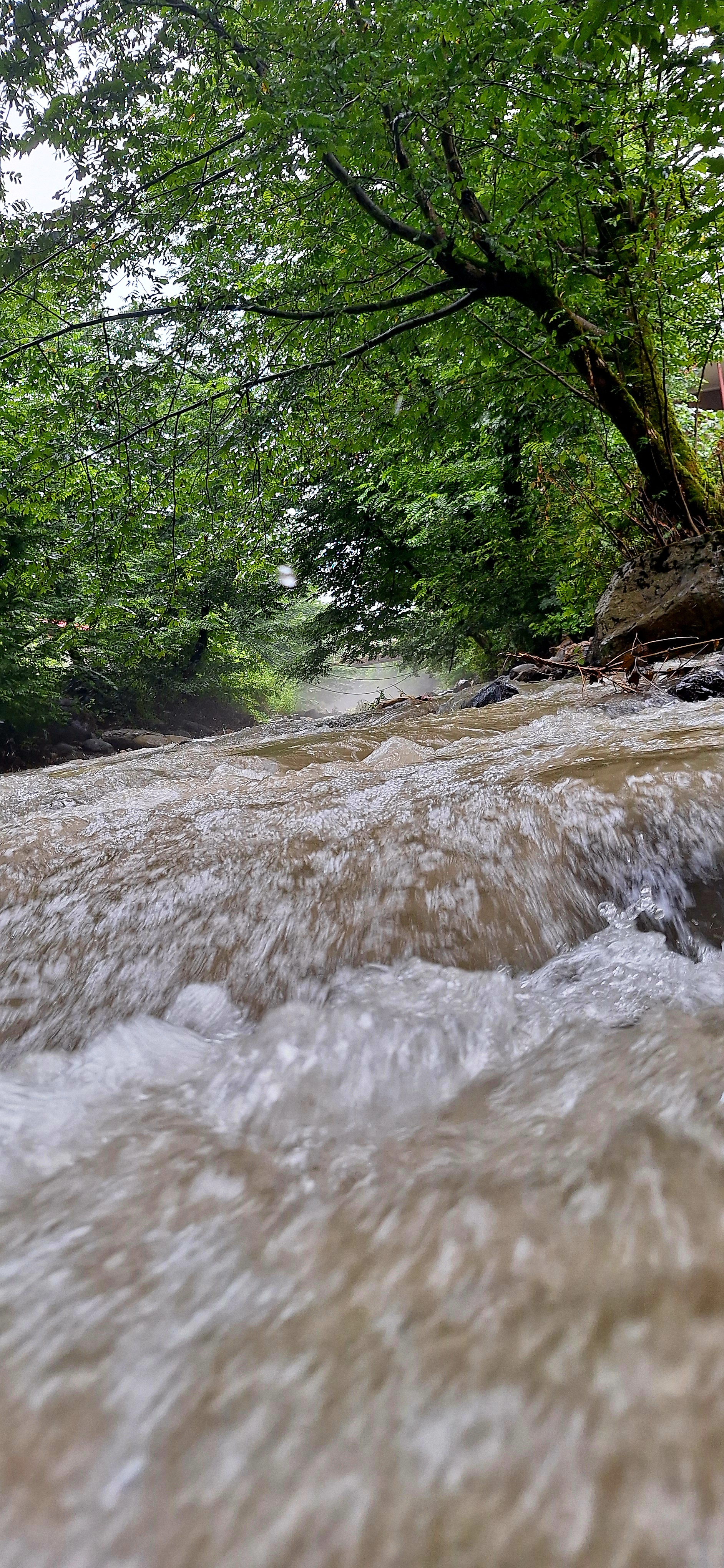 ویلا استخردار آتیلا