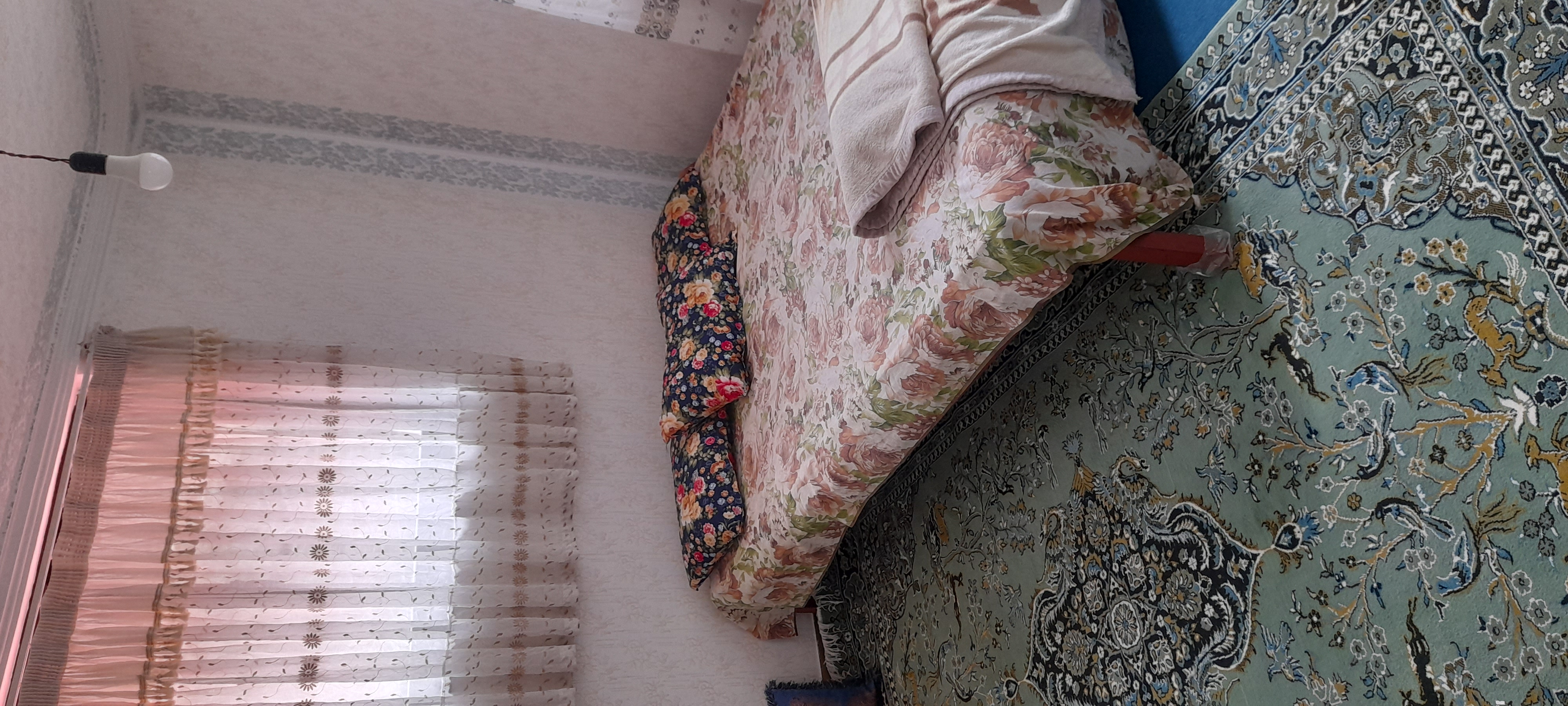 ویلا علیرضا