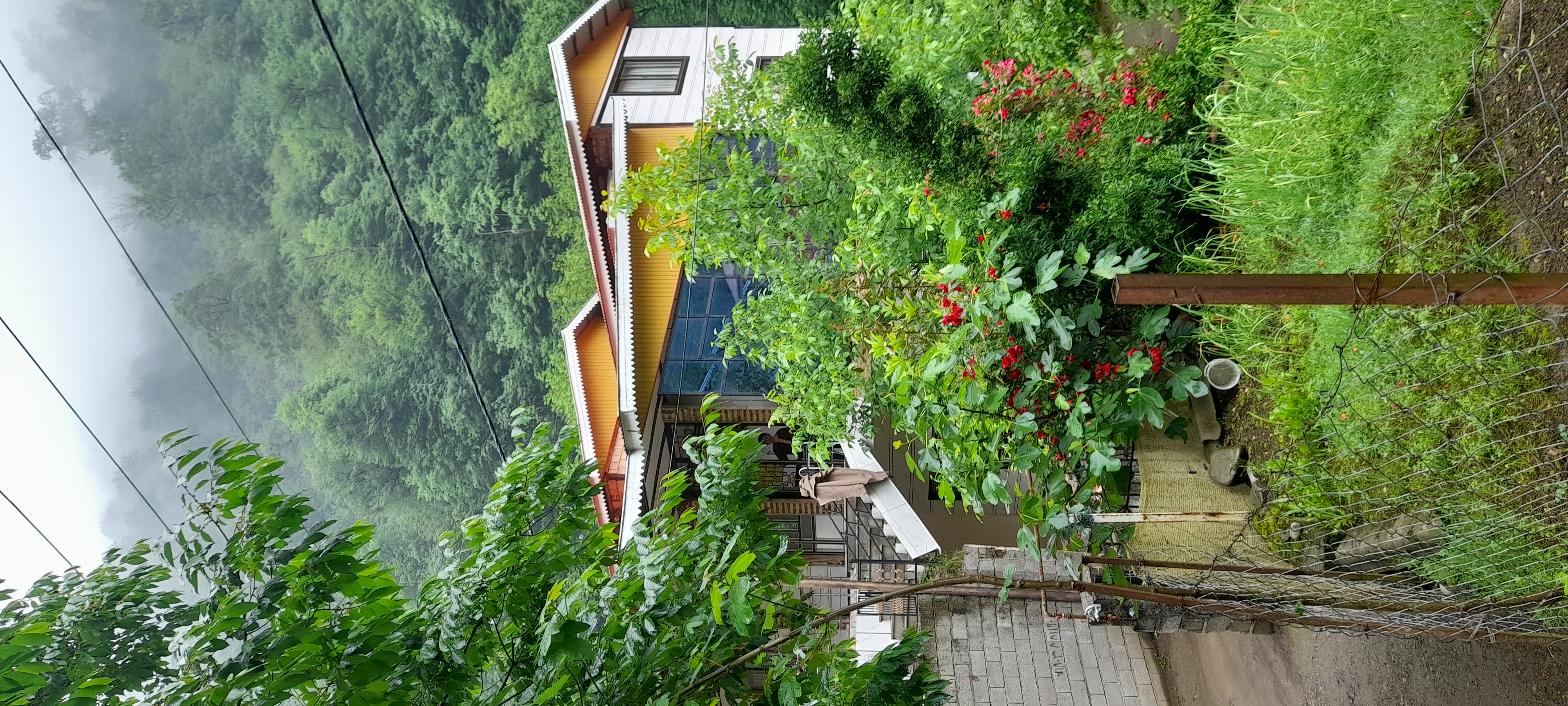 ویلا علیرضا