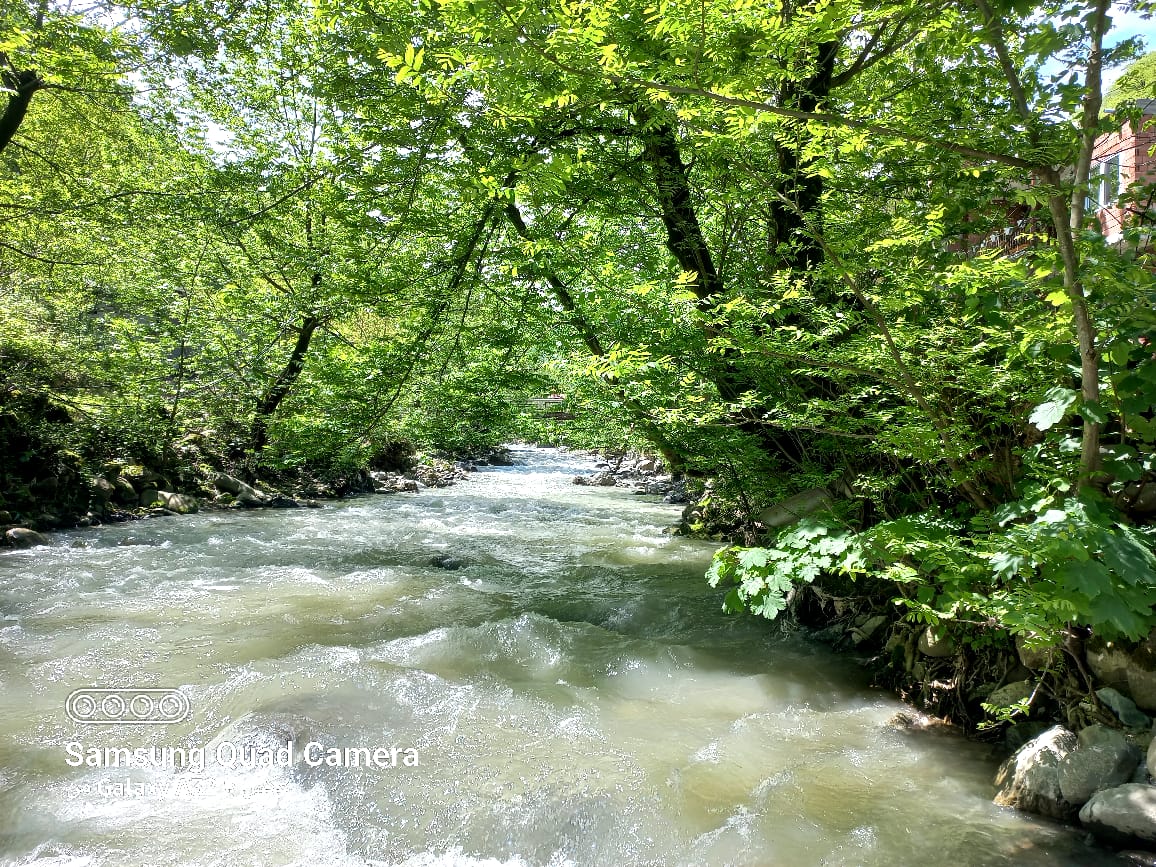 ویلا لب رودخانه دلوین