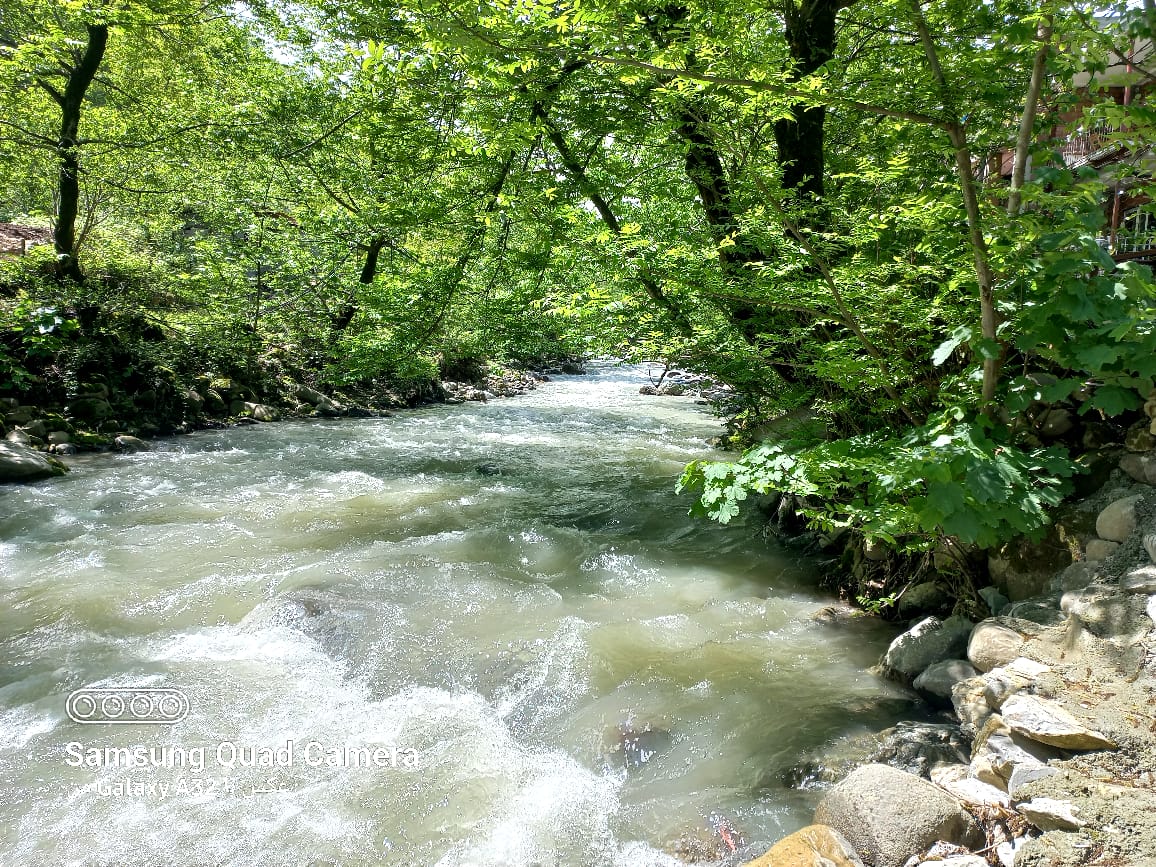 ویلا لب رودخانه دلوین