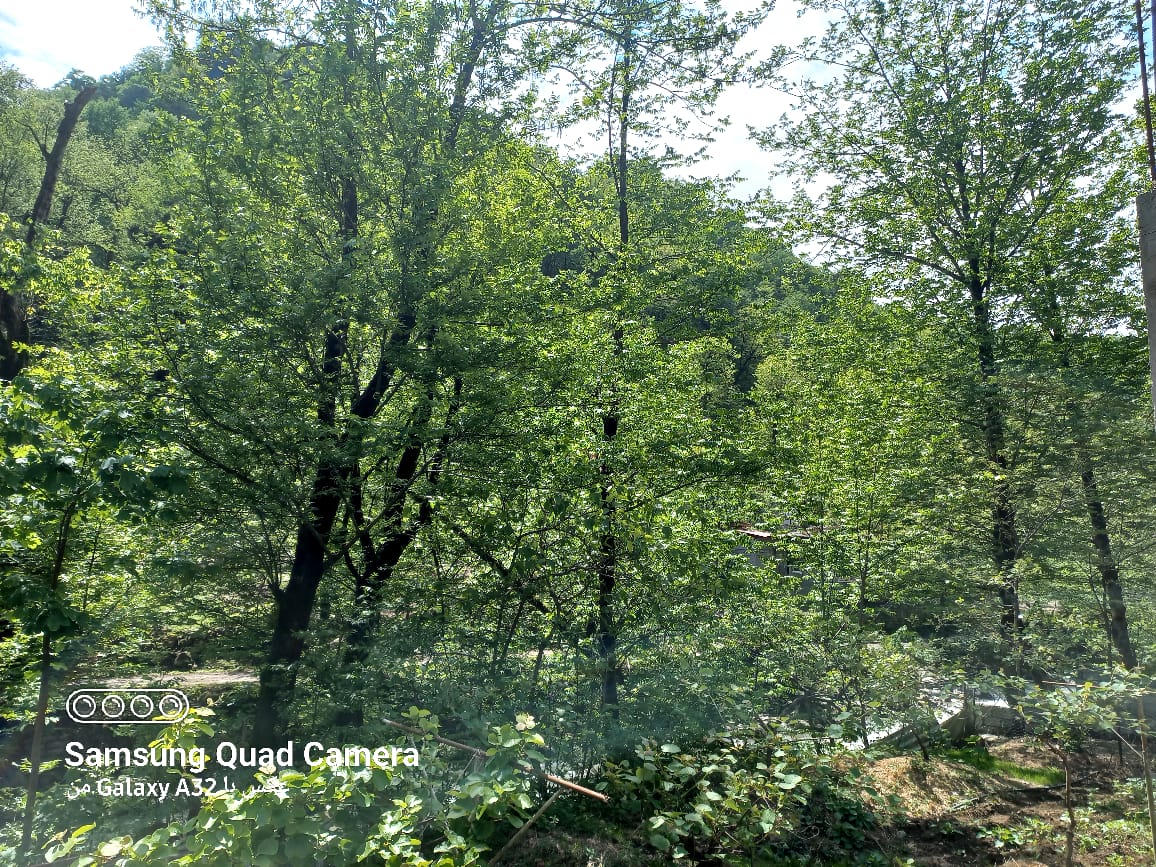 ویلا لب رودخانه دلوین