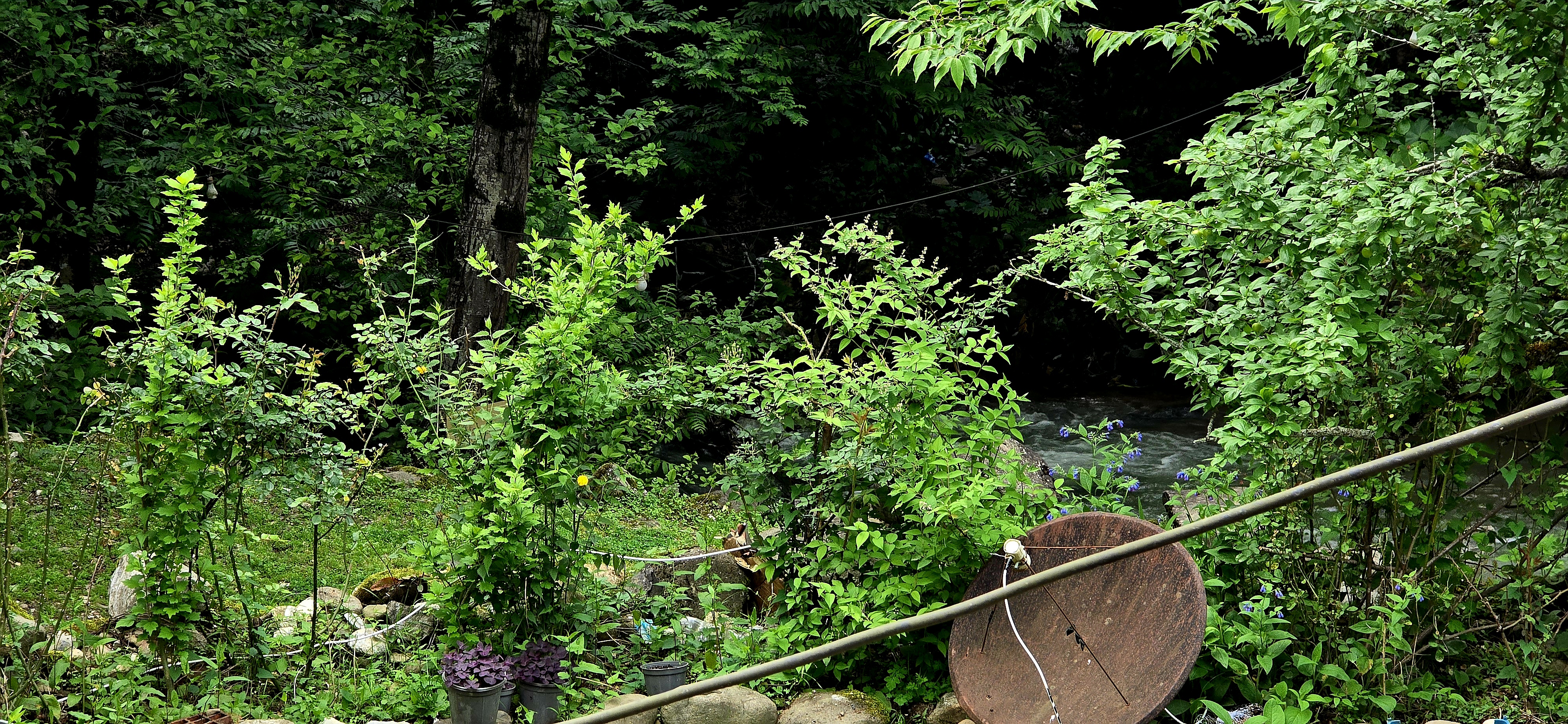 ویلای ارشیا